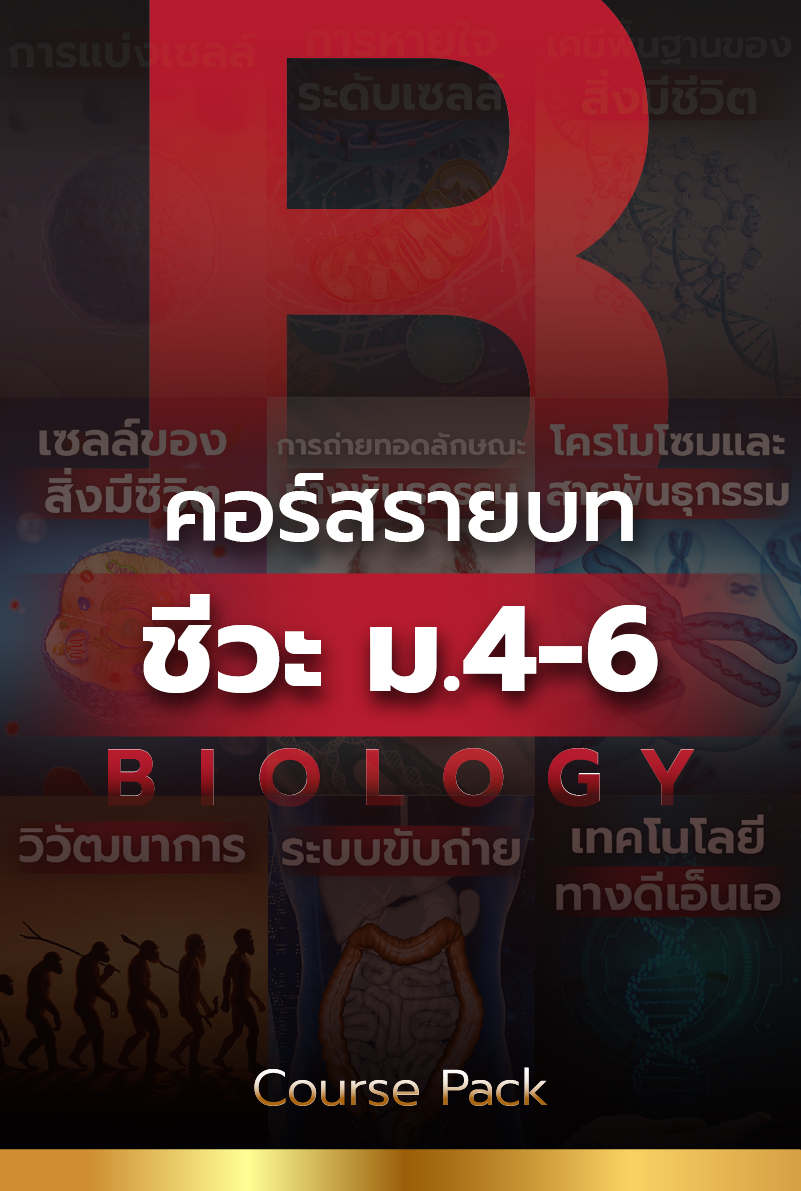 Curriculum Cover