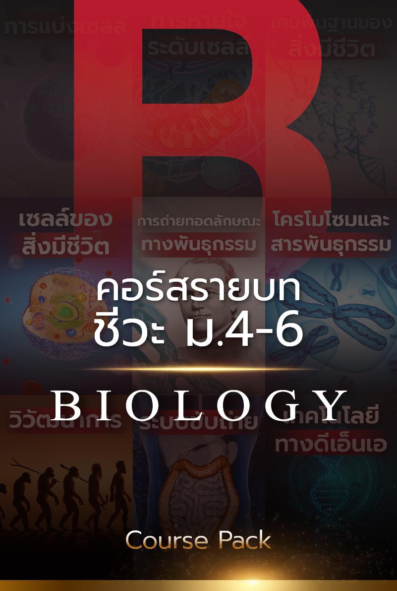 Curriculum Cover